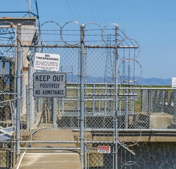 Website SEO Authority 120338995 With Links